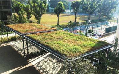 20190506-NParks-Green-roof