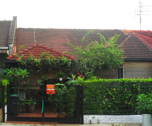 Old-cement-tiles---Braemar-Dr