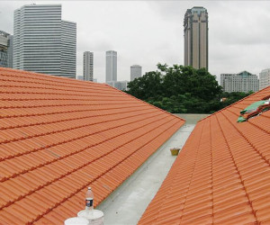 Re-roofing_Aliwal_8