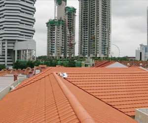 Re-roofing_Aliwal_9